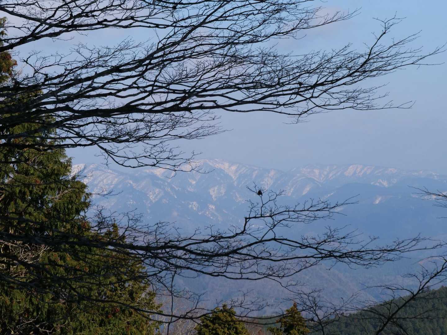 少し登ると遠く山々が🗻
枝被り過ぎ😂
