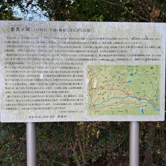 山城跡の解説。