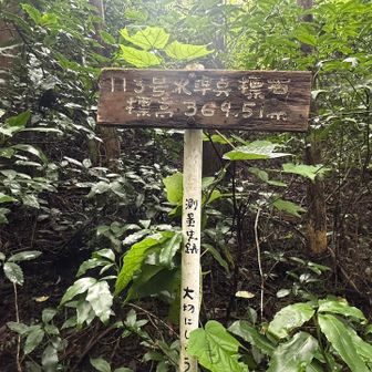 標高369m