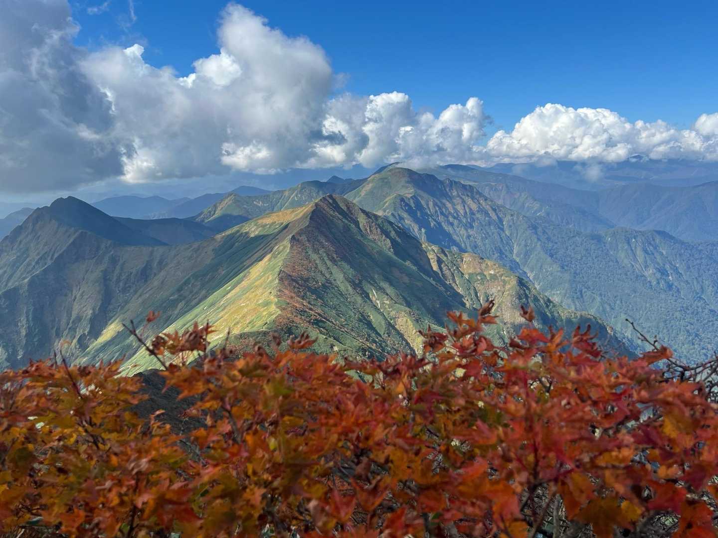天神尾根コースの写真