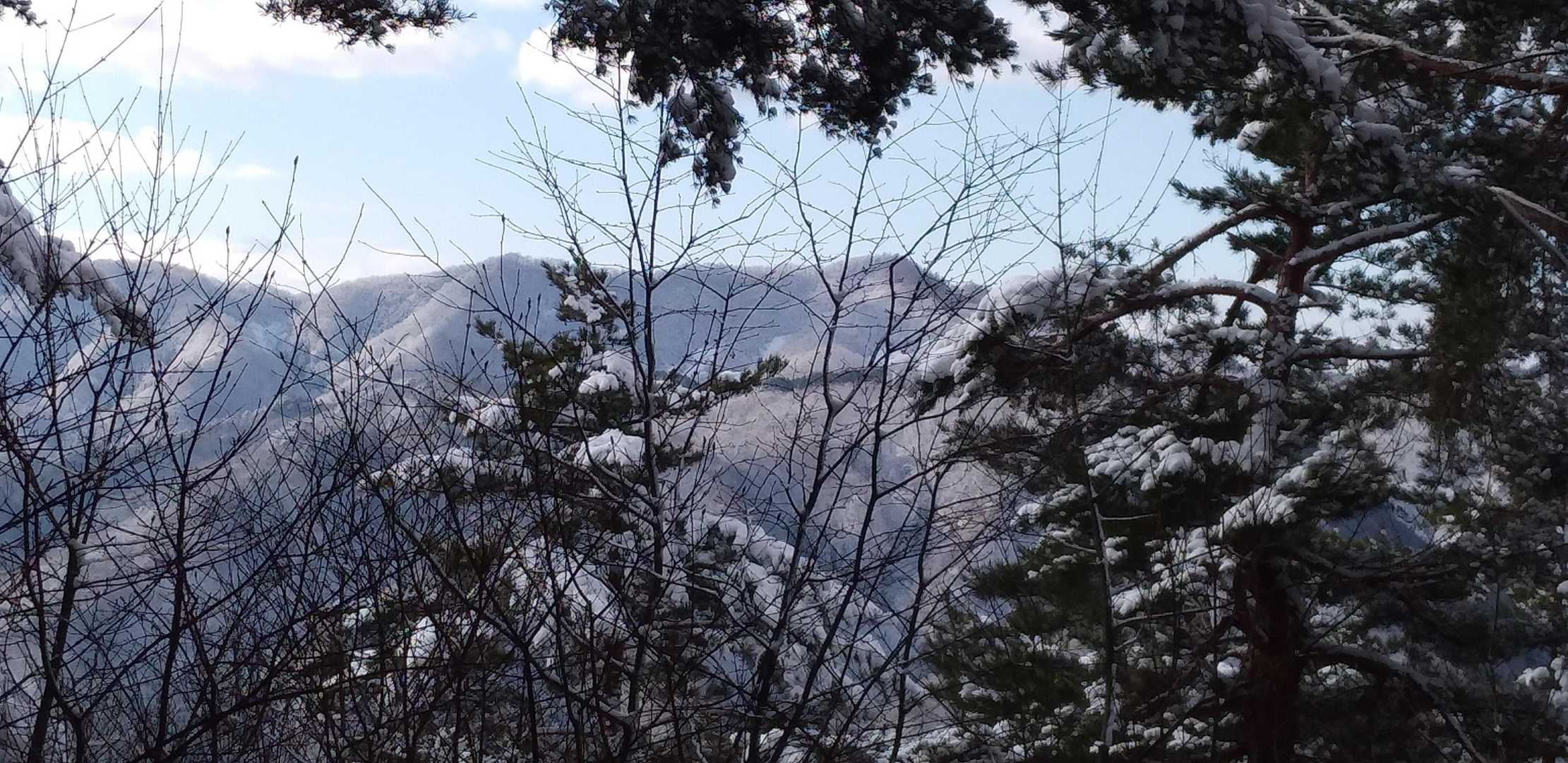 水晶山神社-水晶山 往復コースの写真