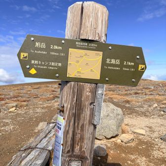 分岐に到着。
ここまでのアップはゆるやかで景色も楽しいので苦ではなく。
もう登りほぼ無しのはずなのでうきうき楽しいハイキングタイムで安心。