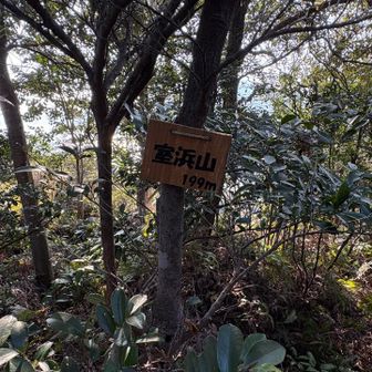 稜線最後の室浜山に到着。