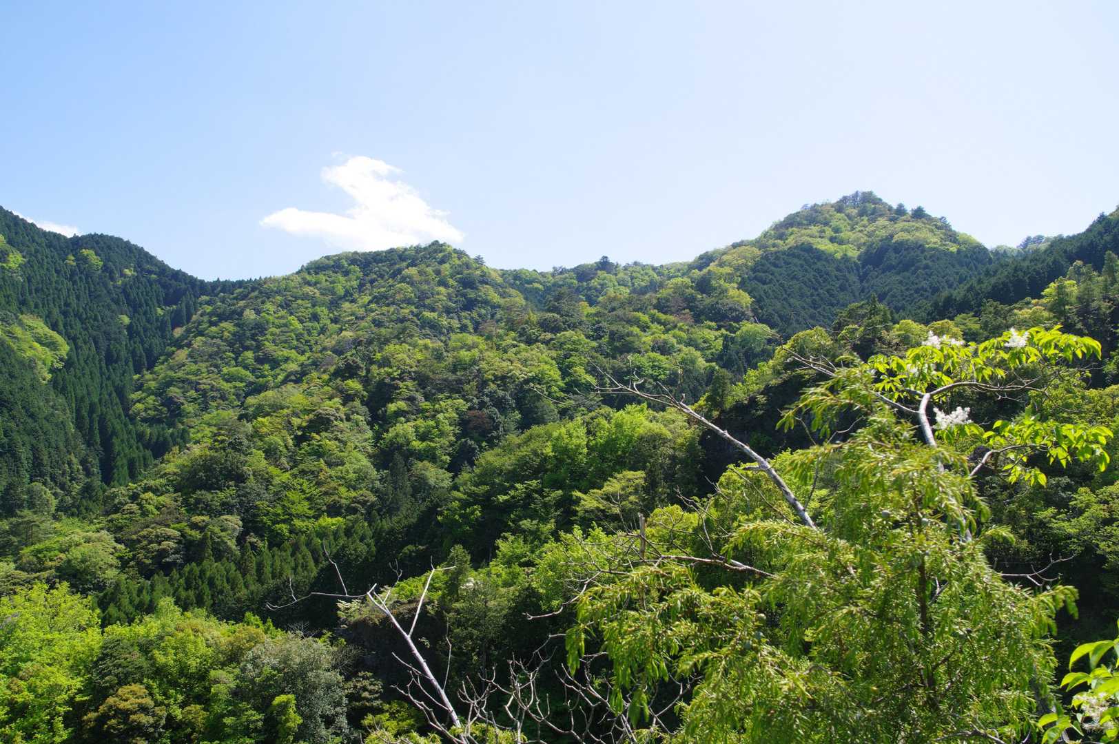 右に見えるのはかくれ名山の未踏の高平山かな