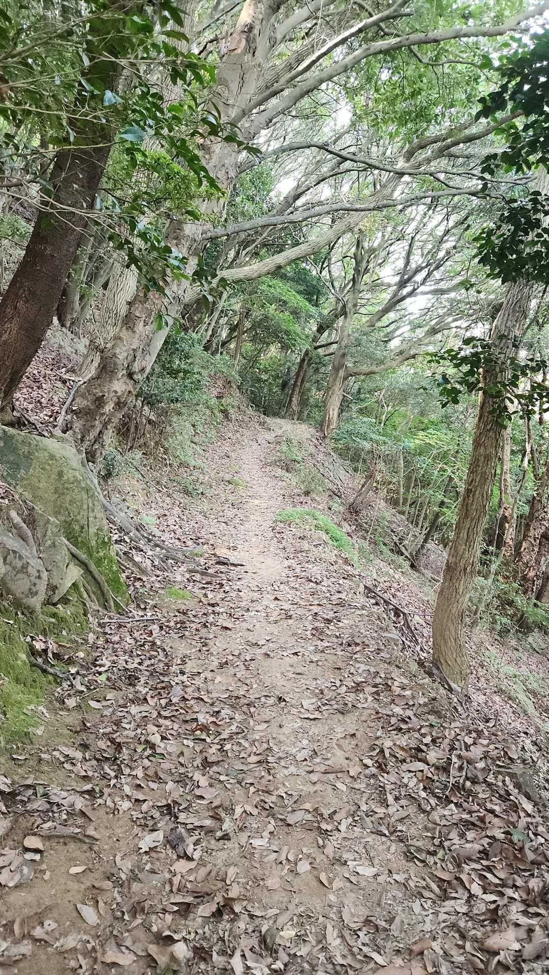 ここ、ちょっと涼しい🤗