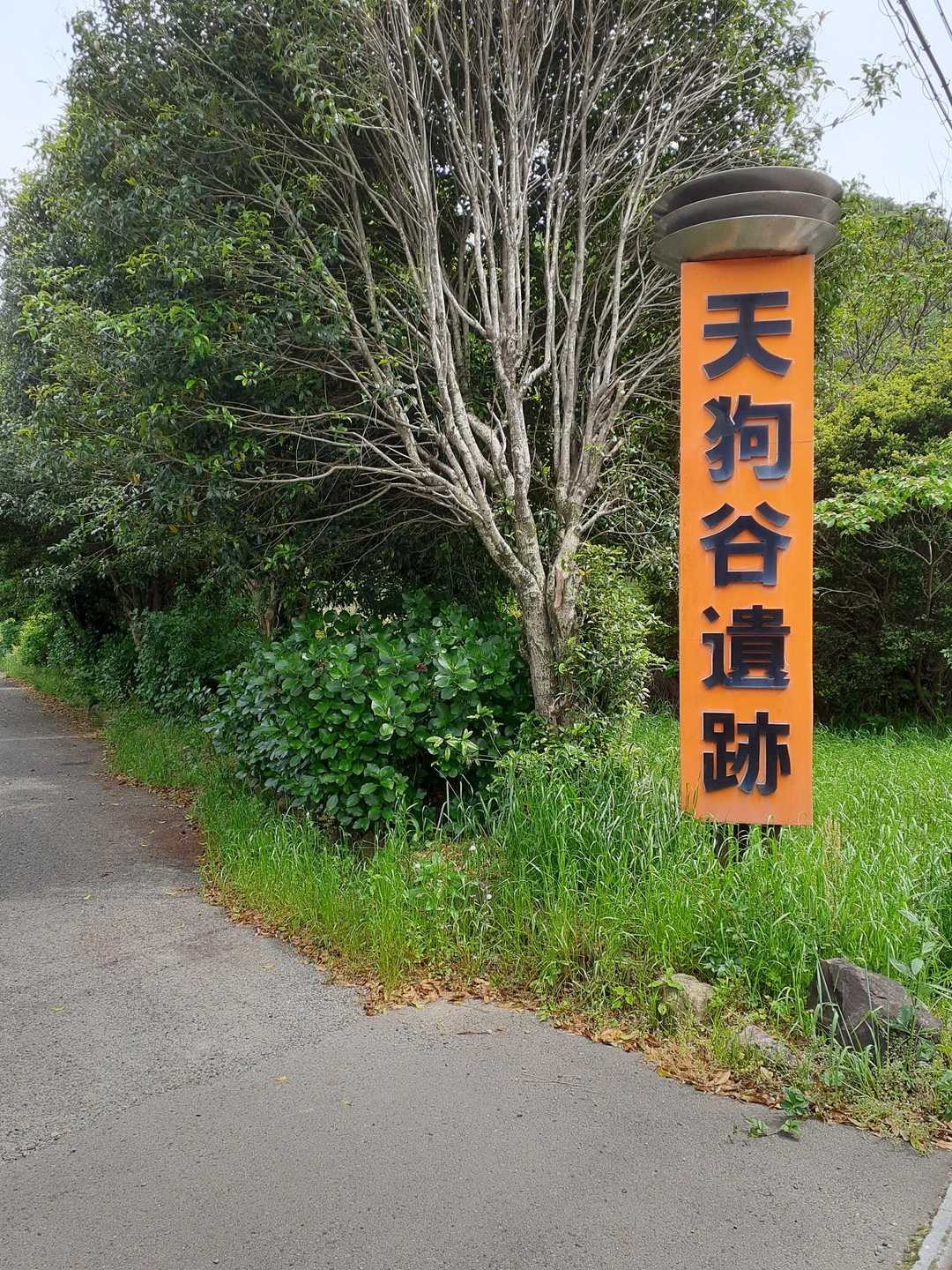 ここに車を停めました