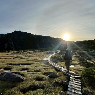 パンプキンプリン大佐