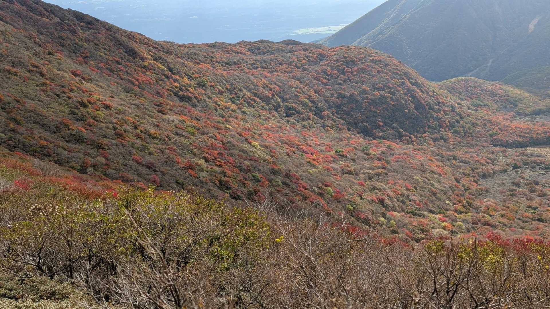 大船山往復 | くじゅう横断。森林・草原・展望をすべて楽しもうの写真