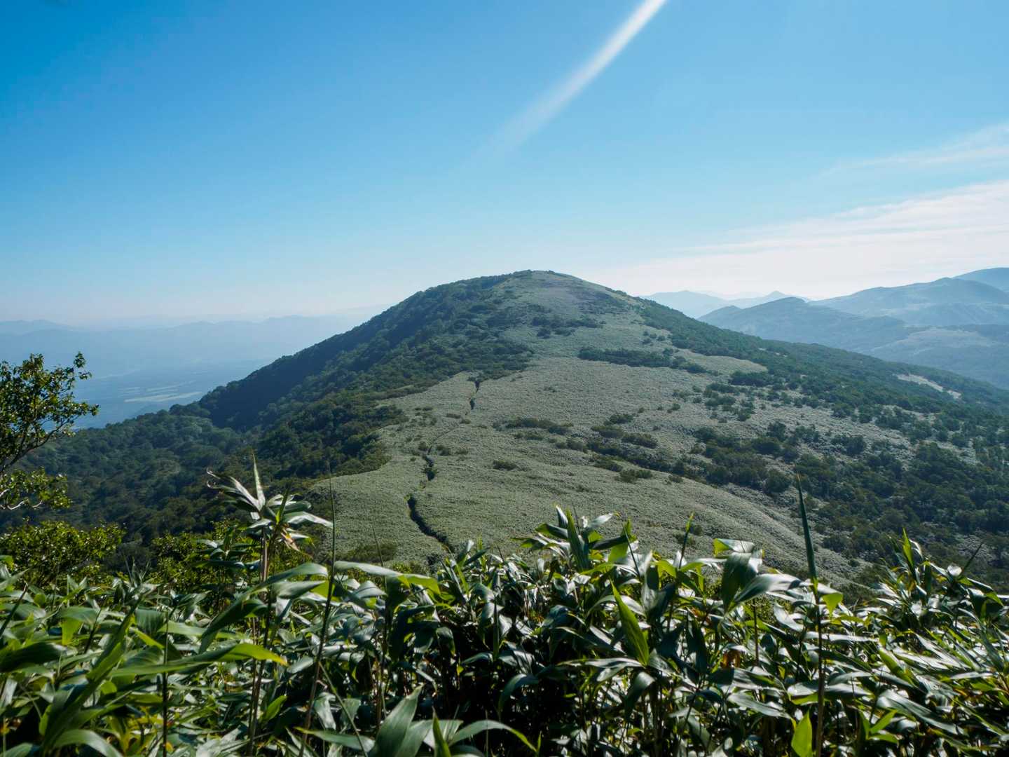 登山道ハッキリ見えます