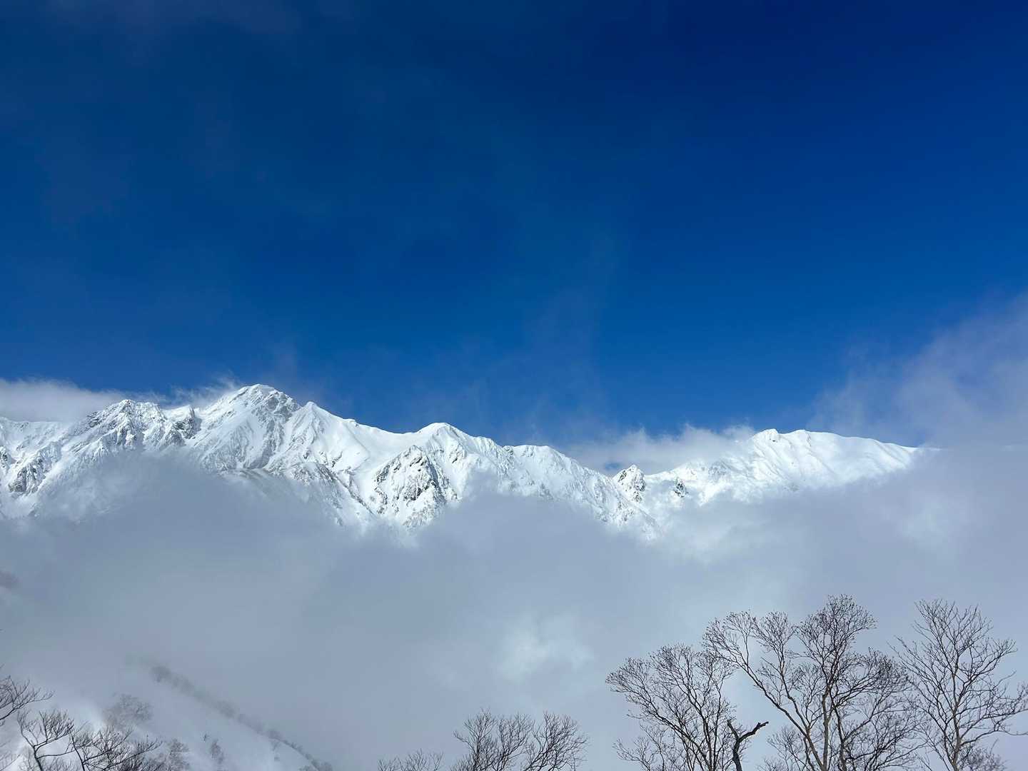 地蔵の頭-二ノ背髪-小遠見山-五竜登山口-中遠見山-五竜テ 縦走コースの写真