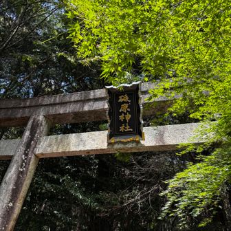 ゴール！第一の鳥居