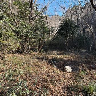 踏み後通り左へ