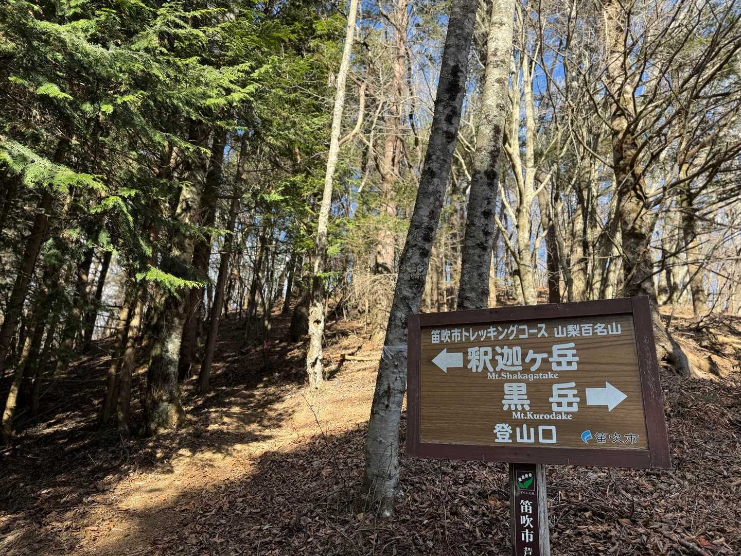 日向峠（どんべい峠）まで下ってきました