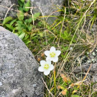更に樹林帯を抜けて…