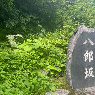 4年前の立マラ出場ログ
https://yamap.com/activities/19243529