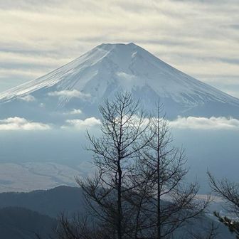 間もなくの相定ケ峰（そうじょうがみね）からも、今度はカラマツ越しの富士山。
