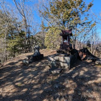 猪狩山に到着😂💦ここまで落葉🍂の急登で大変でした🤣山名板は見つからず😓