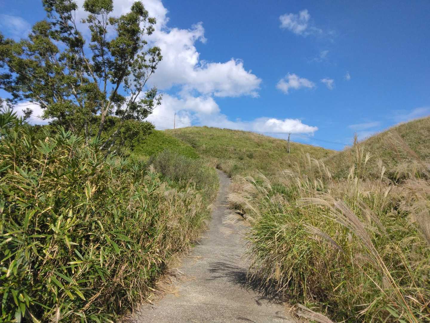 御成山 往復 | 歩いてすぐに山頂。展望抜群の超お手軽コースの写真