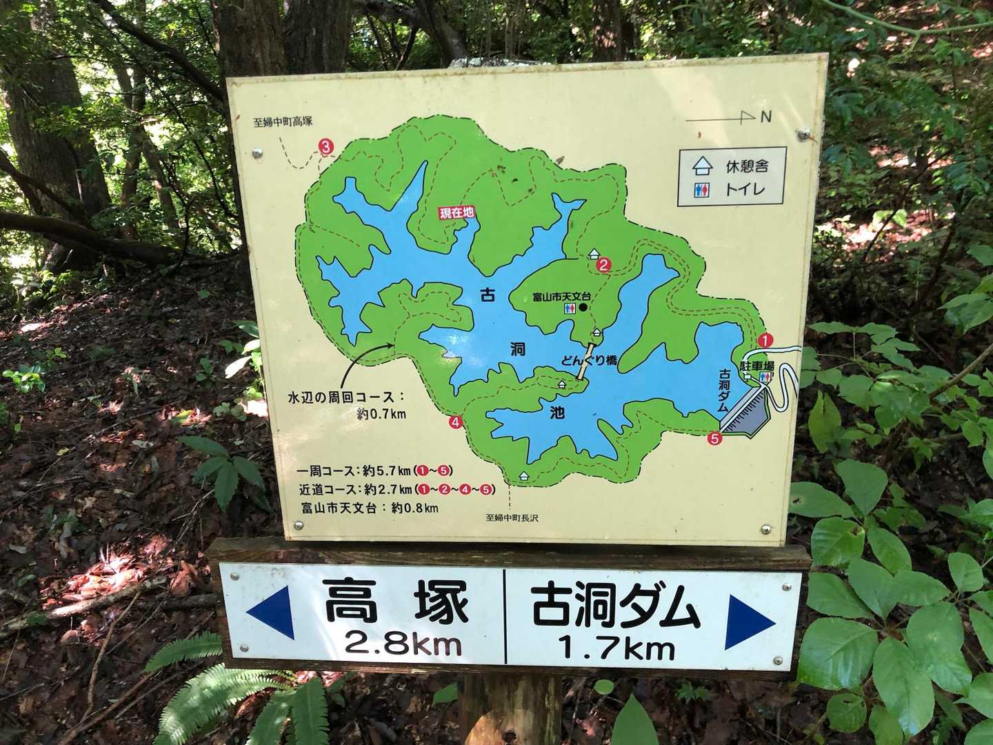 古洞の森 / Guestさんのウォーキングの活動データ | YAMAP / ヤマップ