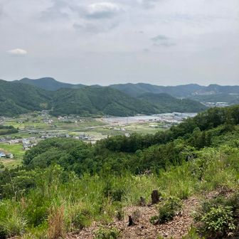 ワイン山🍷の手前の景色