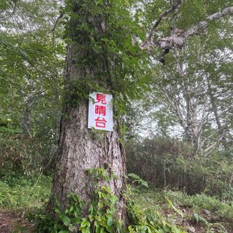 やっとこ見晴台、まだまだだね😅