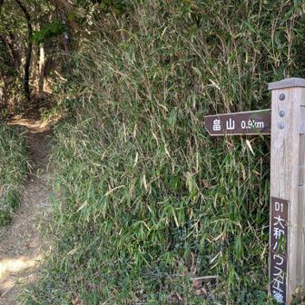 三浦アルプスの入口（でいいのかな？）に到着🚶
風が入らないと暑い☀水分、1.5㍑では足りなかったかも💦