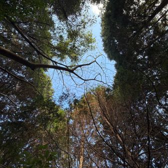 空を見上げると青いが雲がすごい勢いで流れてる