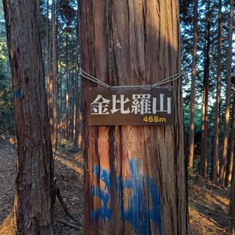 ラスト15座目。