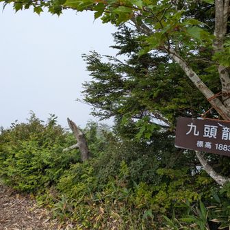 九頭龍山からは真っ白で展望ナシ😫