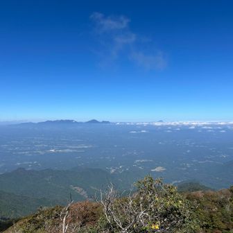 名前を入力してください