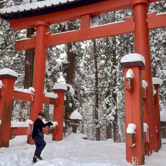 下りは跳ね馬🫏で
トレランで帰りました😄