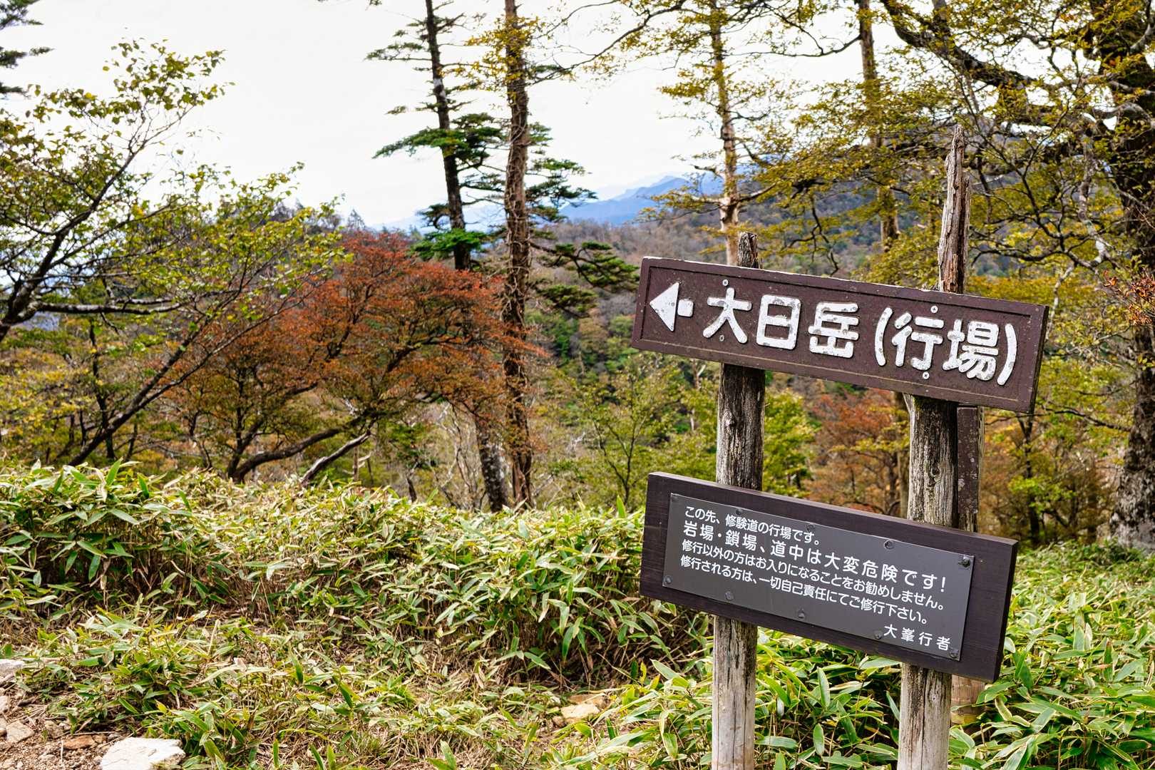 釈迦ヶ岳 往復コースの写真