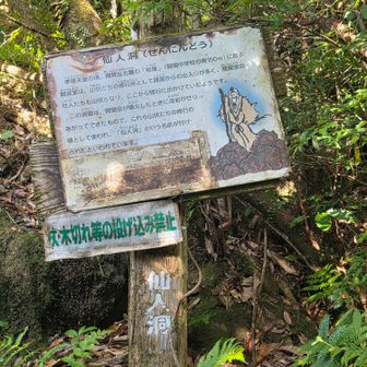 仙人洞