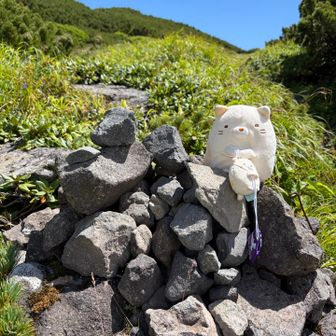 いい天気になった☀️