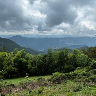 顔振茶屋