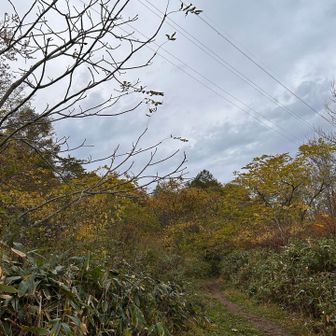 ちょっと曇り空