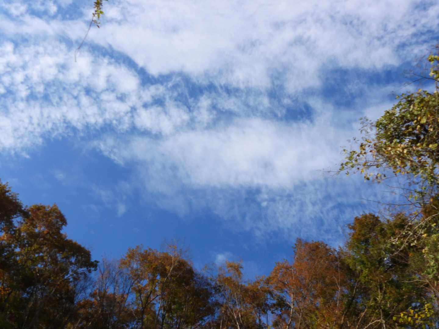 今日も🔵空でよかった🙂