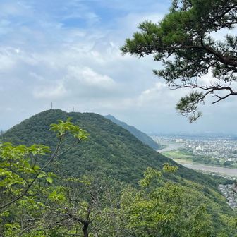 早朝はガスって見えなかった金華山が舟伏山越しに見えました！太陽も顔を出しはじめ、これから暑くなりそう。