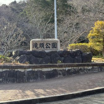 ここからスタート