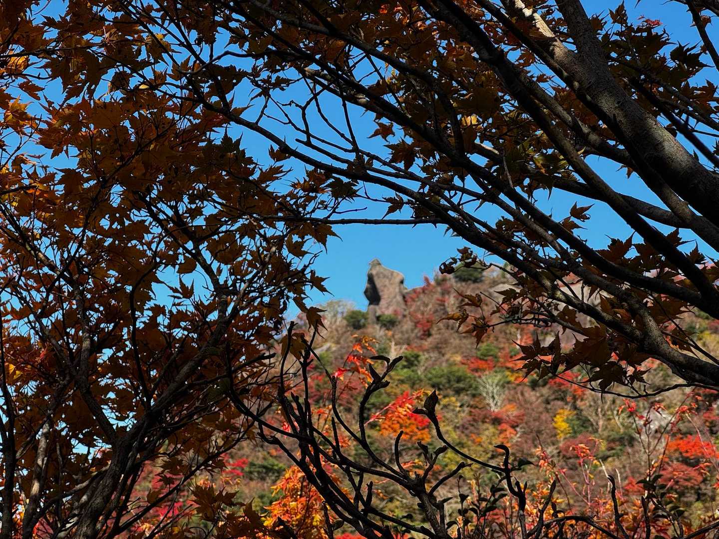 周りに絵の具を散らした鷹岩も🦅
🌿🎄→😍