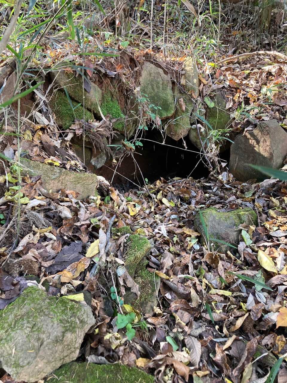 お、なんかの遺構かな❓