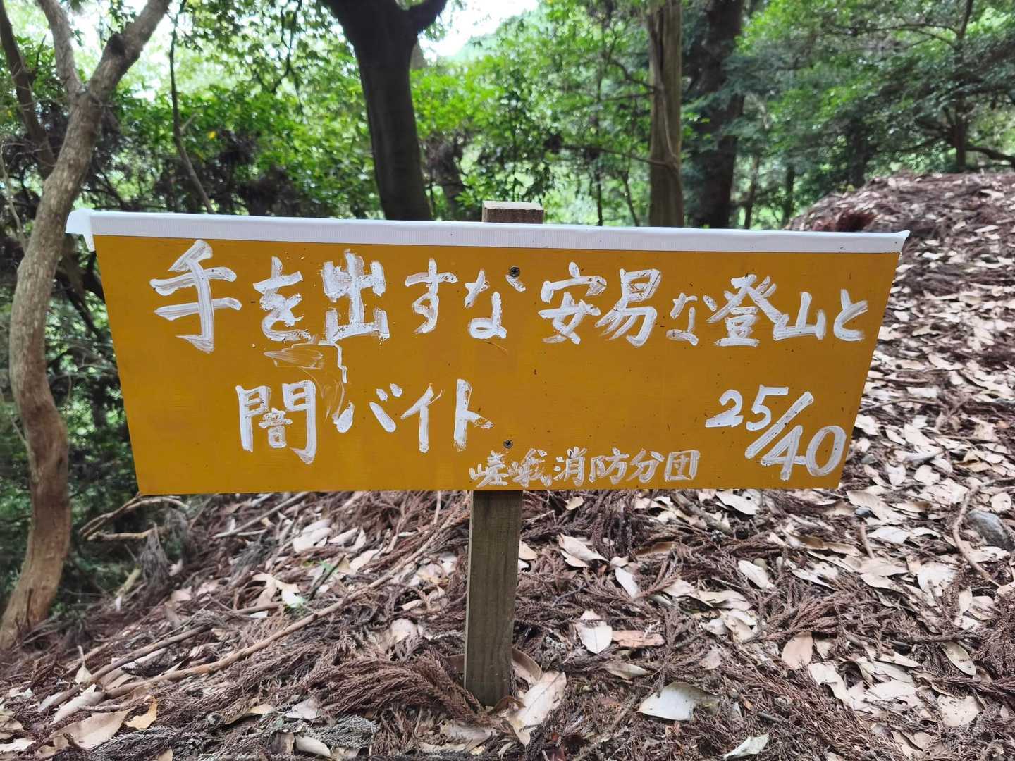 愛宕神社参詣表登山道入口-サカサマ峠 周回コースの写真