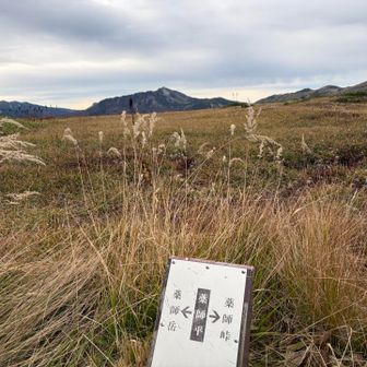 本日、静かなる薬師平

黒部五郎岳