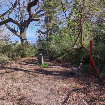 畠山頂上到着。モミジは落ちちゃってますね。