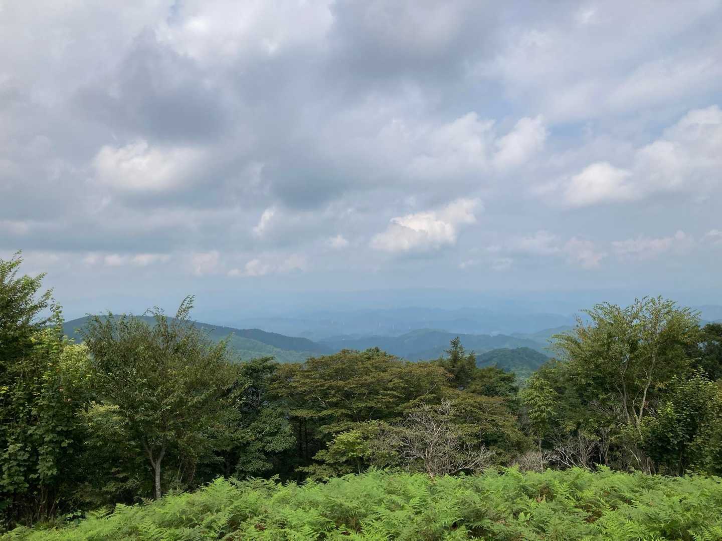 ちょっと曇ってますが　いい景色です。