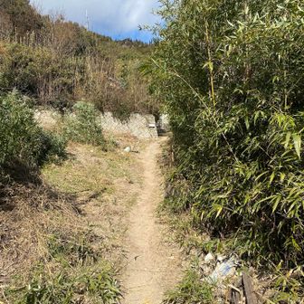 チャリで走ること３０分
登山口ちかくの住宅街に到着
チャリは川の近くにデポ