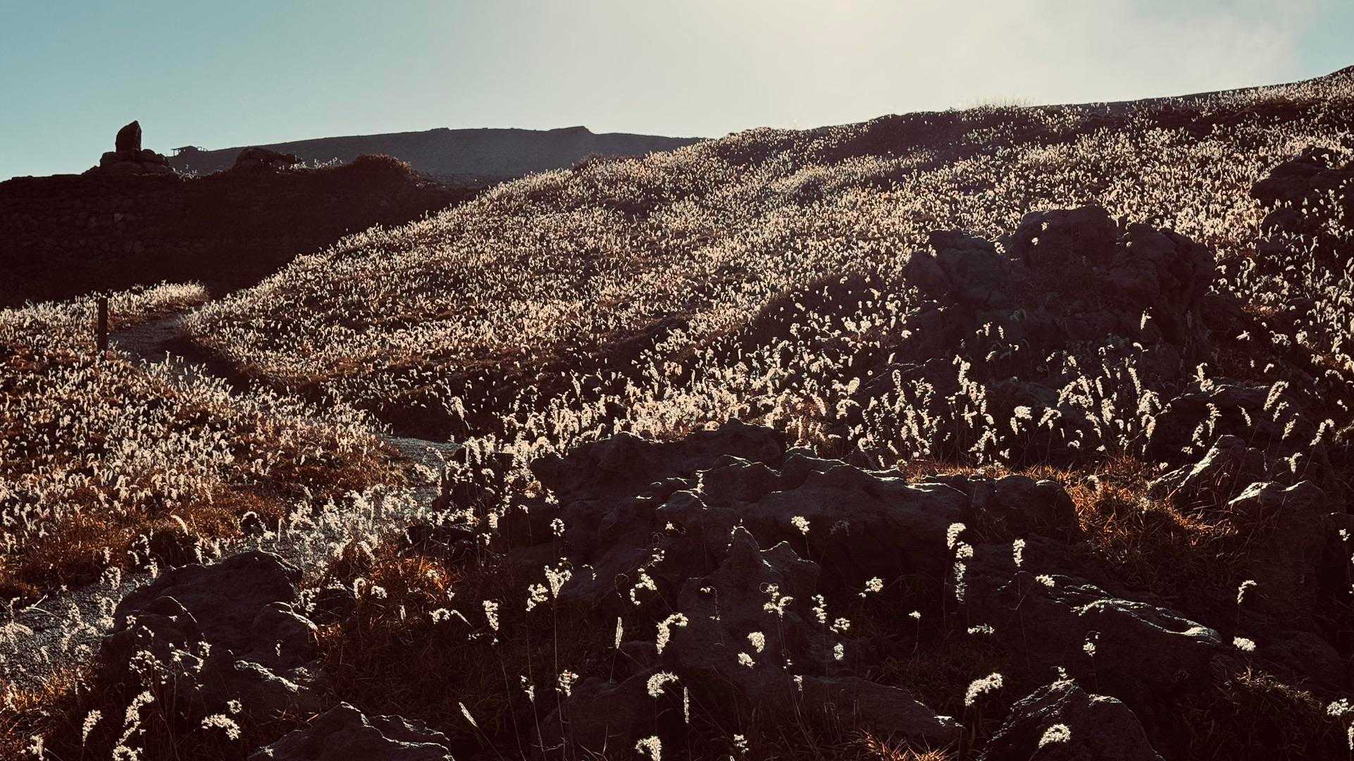 仙酔峡登山口 往復コースの写真