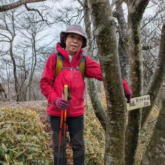 新しい100番プレート。　
南岳の尾根に出ました。