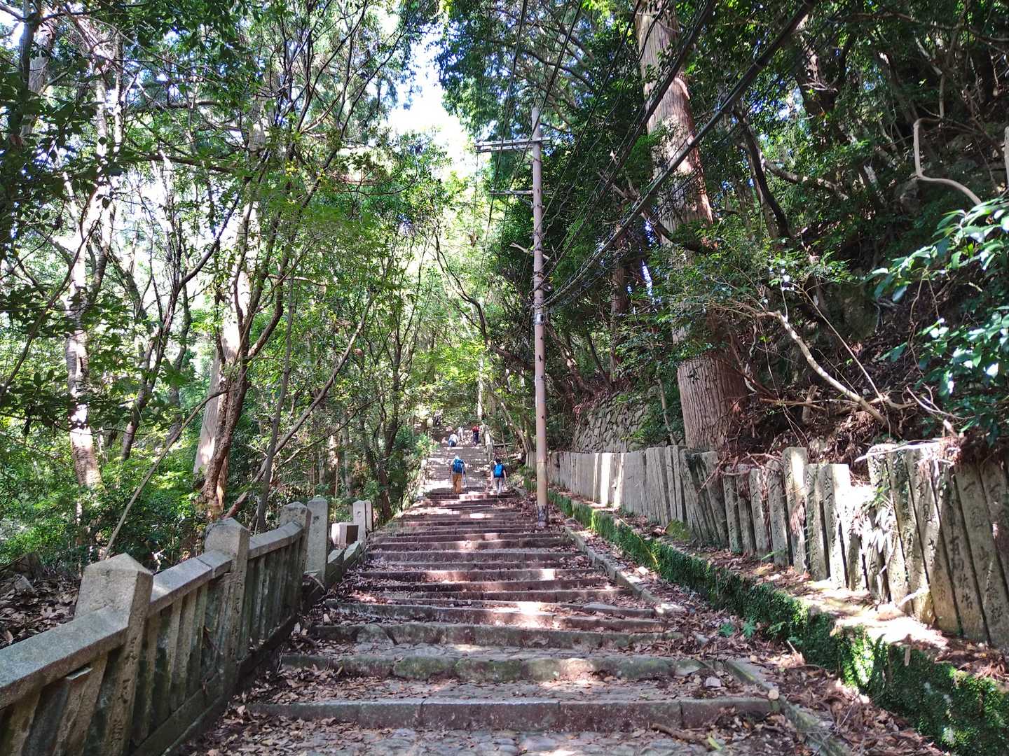摩耶山青谷道登山口-摩耶山-上野道登山口 縦走コースの写真