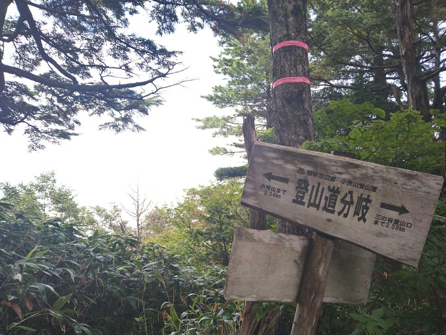 二ノ谷との分岐に着いた〜
体の🍖が重くてペース上がらん(笑)